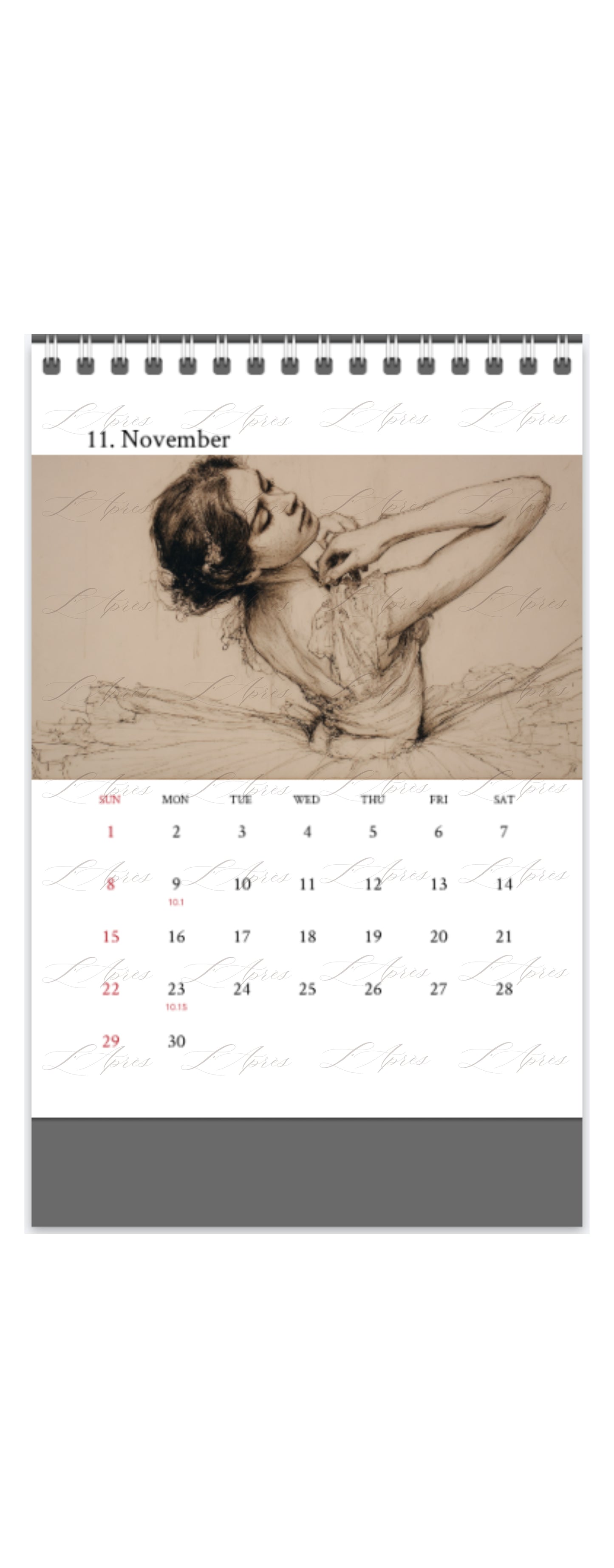 2026 Ballet Calendar (L’Après Ballet Edition 2026) Director Veronica J